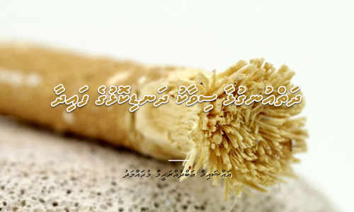 Abdurraheem