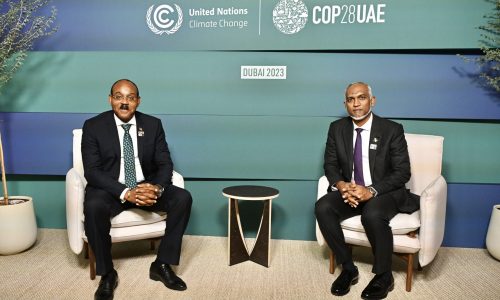 COP 28 12