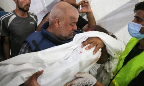 Jazeera Reporter