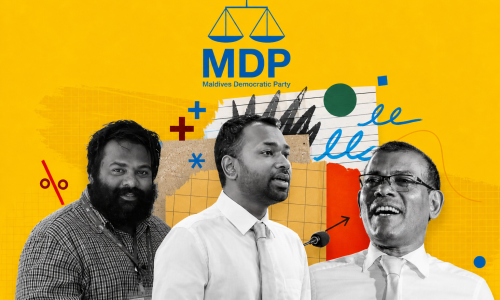 MDP chairperson election