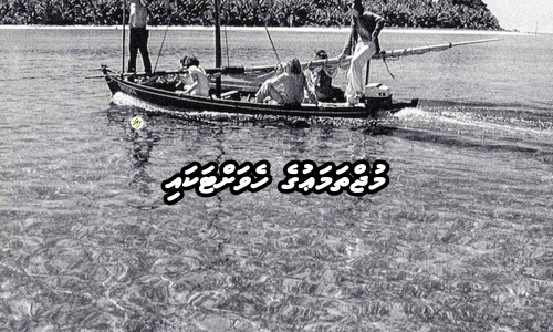 Mujthamau