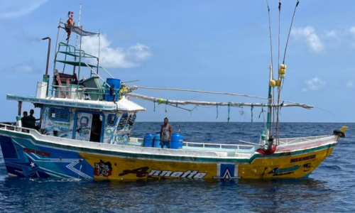 ލަންކާގެ މަސްބޯޓް، ފޮޓޯ: އެމްއެންޑީއެފް