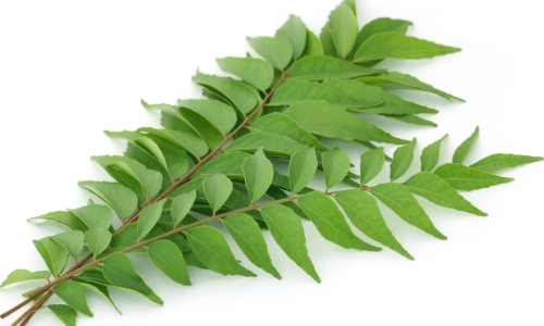 curry leaves