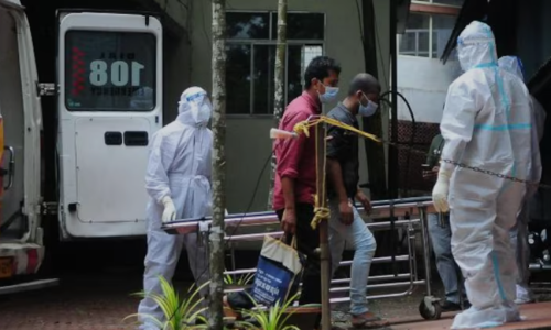 Nipah virus