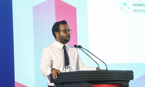 ގެދޮރުވެރިކަމާ ބިނާރާ ބެހޭ ވަޒީރު ޑރ.ޢަބްދުﷲ މުއްތަލިބު, ފޮޓޯ: ރައީސް އޮފީސް