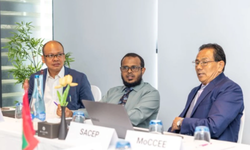 "މާލޭ ޑިކްލަރޭޝަން" ގެ 17 ވަނަ ބައްދަލުވުމުގެ ތެރެއިން، ފޮޓޯ: އެންވައިރުމެންޓް މިނިސްްޓްރީ