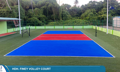 finey volley