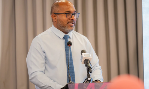 ދާޚިލީ ސަލާމަތާއި މަސައްކަތްތެރިކަމާއި ފަންނިއްޔާތާ ބެހޭ ވަޒީރު ޢަލީ އިޙްސާން