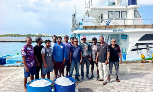ކަނޑުއޮތްގިރިން މަސްވެރިންނަށް އައިސް ވިއްކަން ފެށުން، ފޮޓޯ: މިފްކޯ