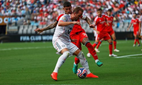 benfica vs bayern