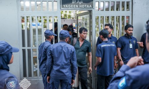 ވިޔަފާރިކުރަމުންދާ ތަންތަން އަމާާޒުކޮށް ހިންގި އޮޕަރޭޝަނެއްގައި 6 ބިދޭސީއަކު އިމިގްރޭޝަންގެ ބެލުމުގެ ދަށަށް ، ފޮޓޯ: އިމިގްރޭޝަން