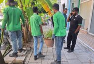 hdc gas ހިތްފަސޭހަ ހުޅުމާލެ: ހެޖުތެރެއިން ނަގާ ބިޔަ ގަސްތައް އިންދާނީ ހުޅުމާލޭގެ އެކި ޕާކުތަކުގައި، ފޮޓޯ: އެޗްޑީސީ