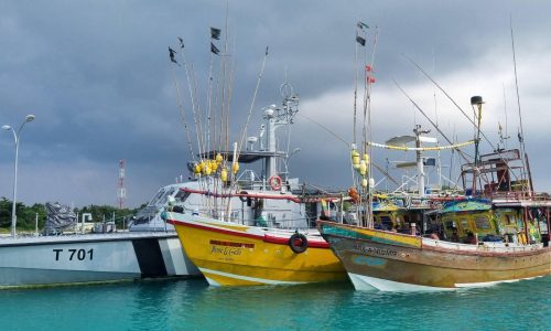 mas boat