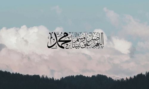 mohamed nabiya