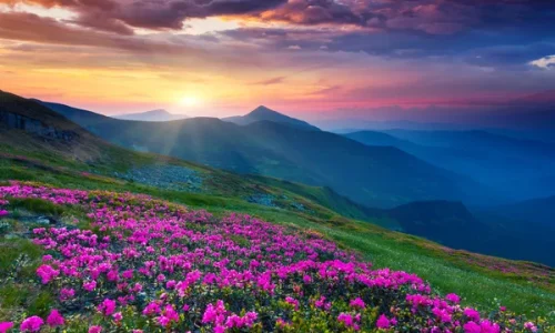 nature