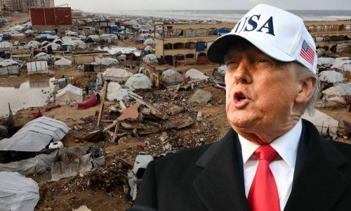 ފޮޓޯ: ރޯޔާ ނިއުސް