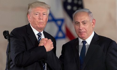 trump natan